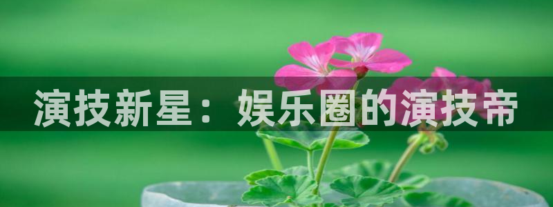泰达娱乐注册官网入口