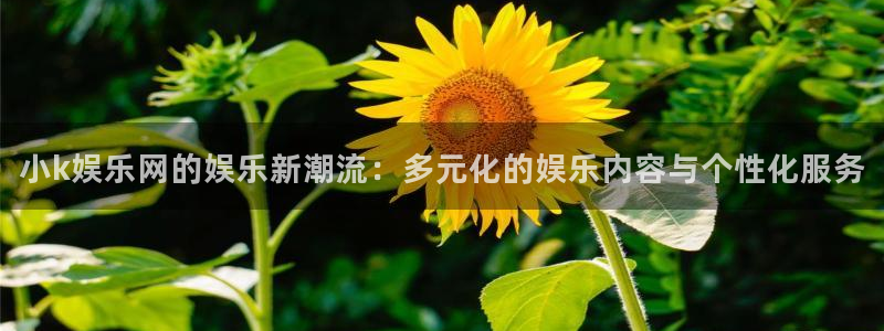 壹号app下载苹果