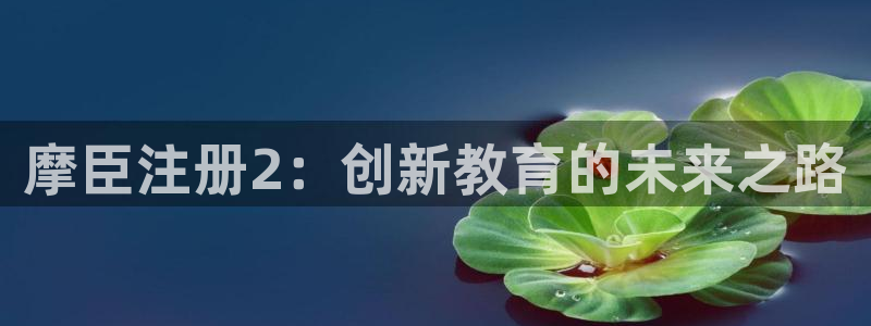 泰达娱乐下载官网入口在哪