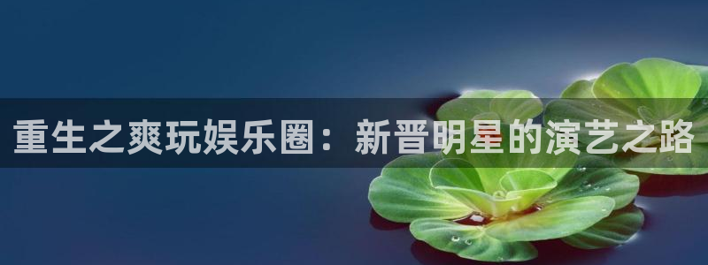 泰达娱乐app下载安装