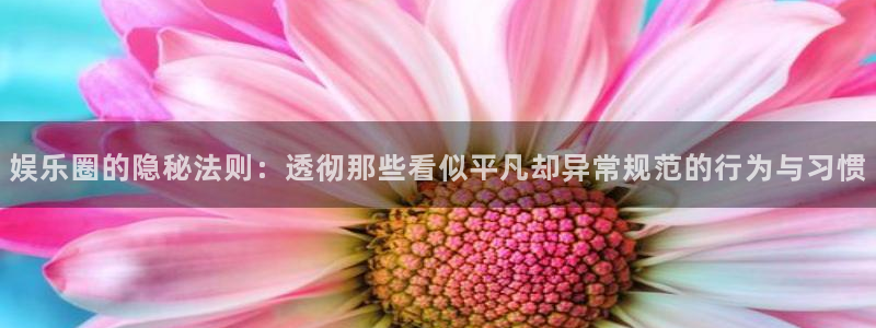 泰达娱乐在线预测