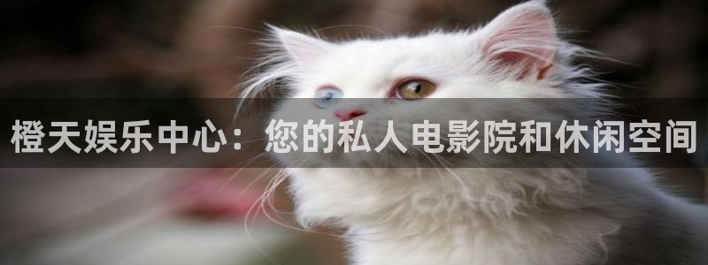 南宫泰达娱乐官网下载链接