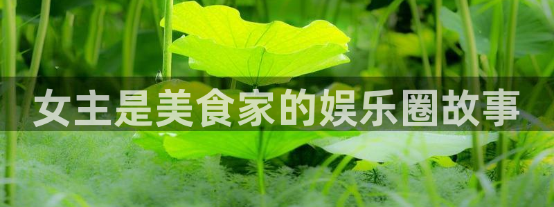 泰达娱乐官网入口