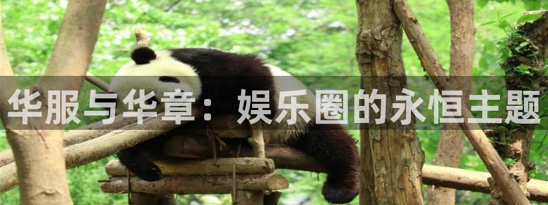 泰达娱乐平台官方入口下载：华服与华章：娱乐圈的永恒主题