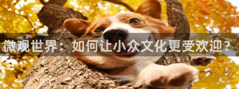 泰达娱乐app下载地址：微观世界：如何让小众文化更受欢迎？