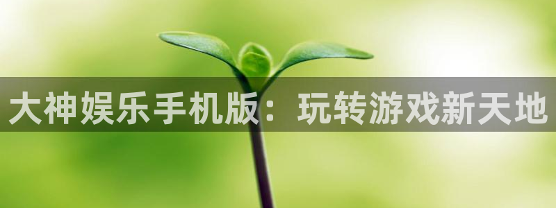 泰达娱乐加拿大下载：大神娱乐手机版：玩转游戏新天地
