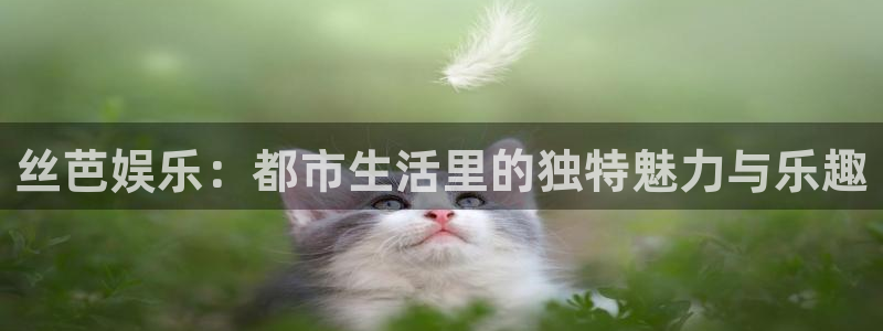 泰达娱乐分红代理计划：丝芭娱乐：都市生活里的独特魅力与乐趣