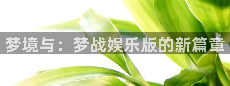 泰达娱乐app官网下载：梦境与：梦战娱乐版的新篇章