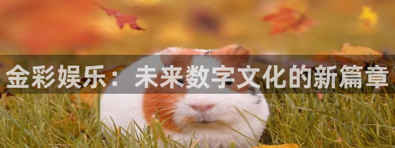 泰达娱乐电子游戏：金彩娱乐：未来数字文化的新篇章