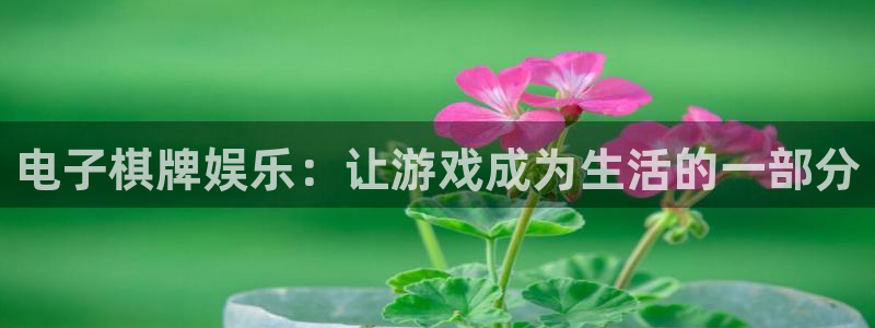 泰达娱乐官网地址：电子棋牌娱乐：让游戏成为生活的一部分
