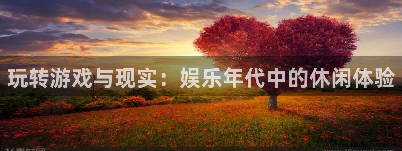 泰达娱乐是啥：玩转游戏与现实：娱乐年代中的休闲体验
