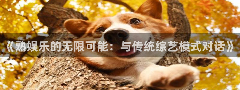 泰达娱乐平台官网入口下载