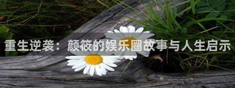 泰达娱乐下载并安装