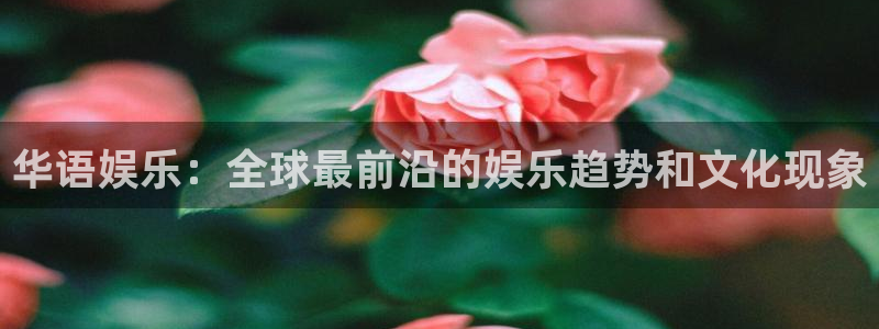 壹号app官方登录入口下载：华语娱乐：全球最前沿的娱乐趋势和文化现象