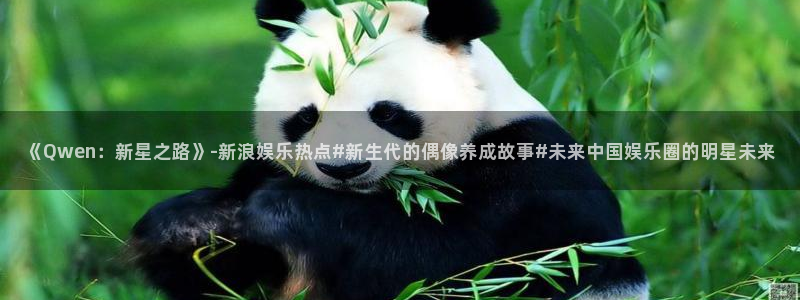 泰达娱乐游戏官网平台：《Qwen：新星之路》-新浪娱乐热点#新生代的偶像养成故事#未来中国娱乐圈的明星未来